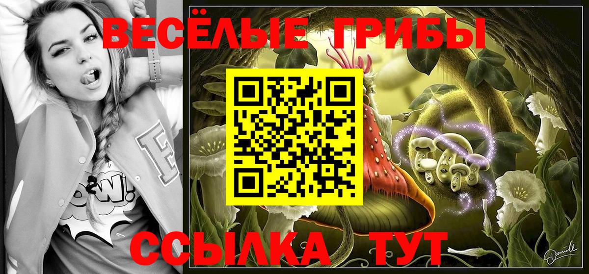 Галлюциногенные грибы мицелий Касимов