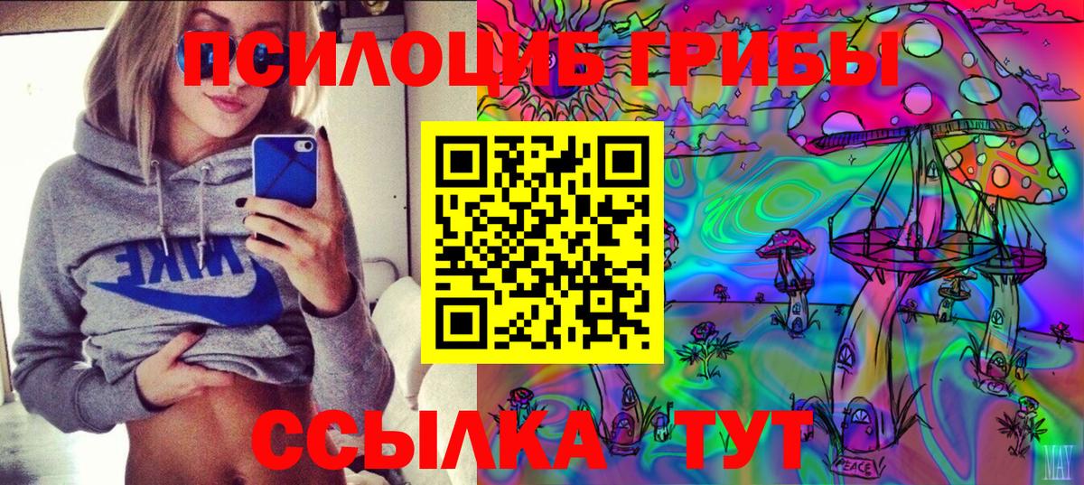 Псилоцибиновые грибы Magic Shrooms  Псилоцибиновые грибы ЛСД  где можно купить   Касимов  Вход с VPN 